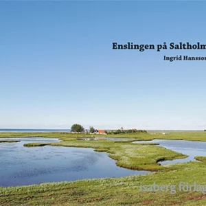 Enslingen på Saltholm