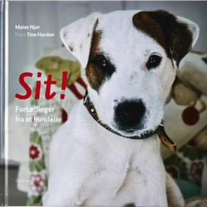 Sit