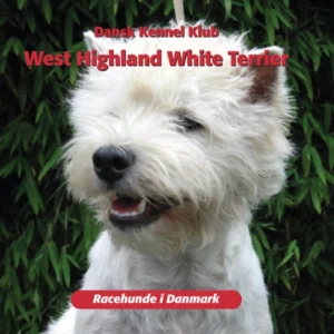 WEST HIGHLAND WHITE TERRIER