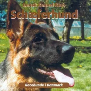 Schæferhund