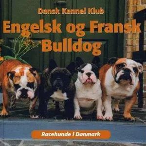 ENGELSK OG FRANSK BULLDOG