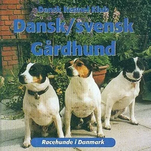 DANSK/SVENSK GÅRDHUND