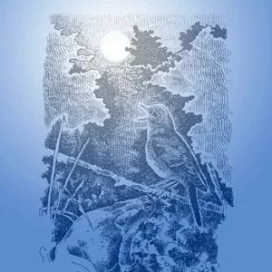 Det rene pip