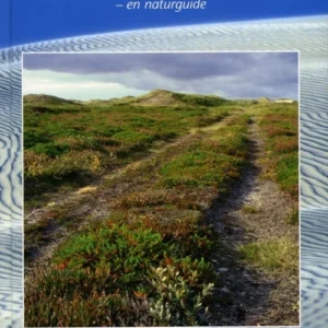 Skagens Odde