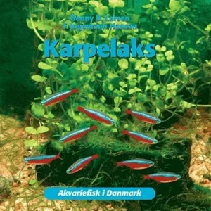 Karpelaks