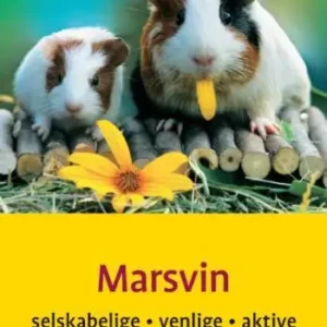 Marsvin