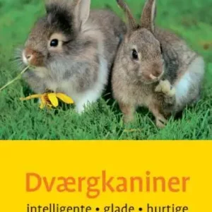 Dværgkaniner