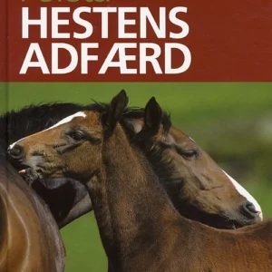 Forstå hestens adfærd