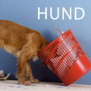 Forstå bedre din hund