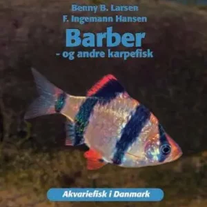 Barber - og andre karpefisk