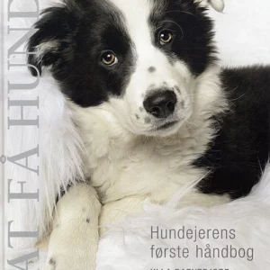 At få hund