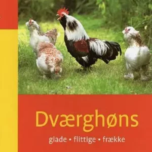 Dværghøns