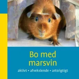 Bo med marsvin