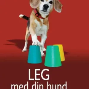 Leg med din hund