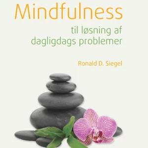 Mindfulness til løsning af daglidags problemer