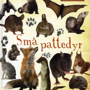 Små pattedyr