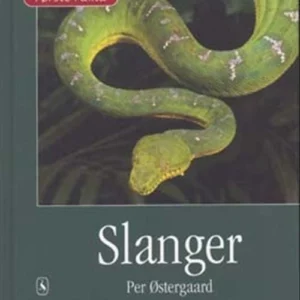 Slanger