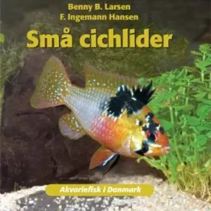 Små cichlider