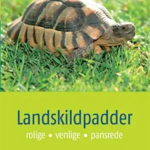 Landskildpadder