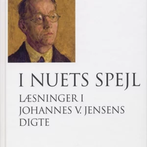 I nuets spejl