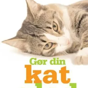 Katte