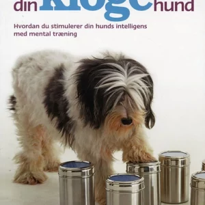 Din kloge hund