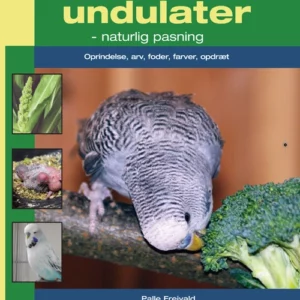 Alt om undulater