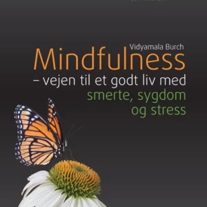 Mindfulness - vejen til et godt liv med smerte, sygdom og stress