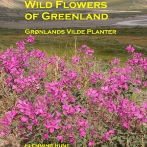 Wild flowers of Greenland