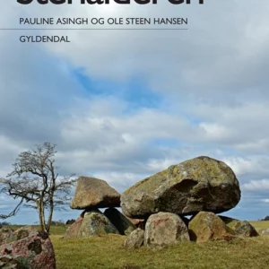 Stenalderen