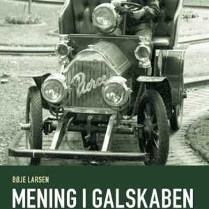 Mening i galskaben
