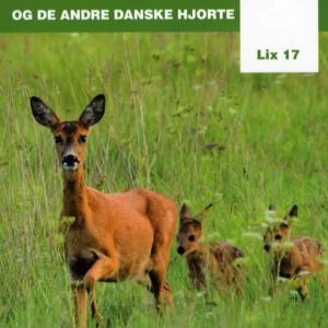 Rådyret og de andre danske hjorte
