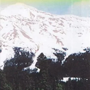 Forbidden Plateau & Campbell River
