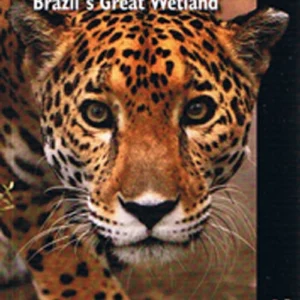 Pantanal Wildlife