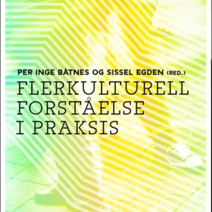 Flerkulturell forståelse i praksis