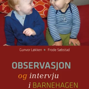 Observasjon og intervju i barnehagen  (4.utg.)