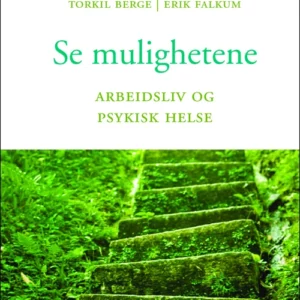 Se mulighetene : arbeidsliv og psykisk helse