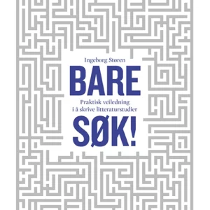 Bare søk! : veiledning i å gjennomføre litteraturstudier