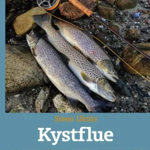 Kystflue