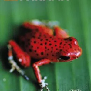 Panama