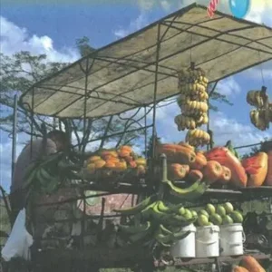 Havana & Cuba Central
