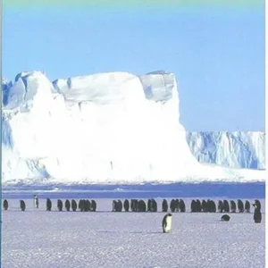 Antarctica & Tierra del Fuego