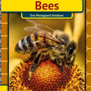 Bees