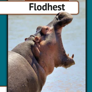 Flodhest