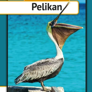 Pelikan