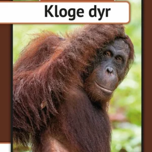 Kloge dyr