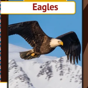 Eagles