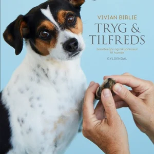 Tryg og tilfreds