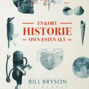 En kort historie om næsten alt