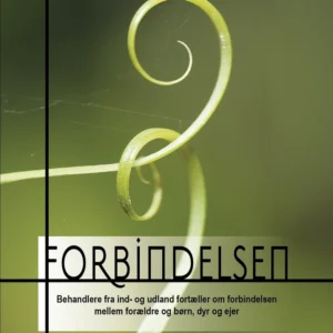 Forbindelsen